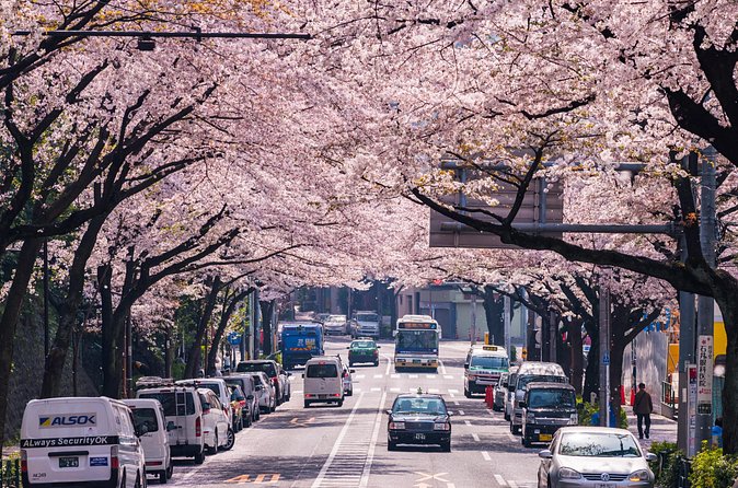 Tokyo Private Customizable Tour with English Speaking Chauffeur - Stop 1: Senso-ji Temple and Asakusa’s 1400-year anchor