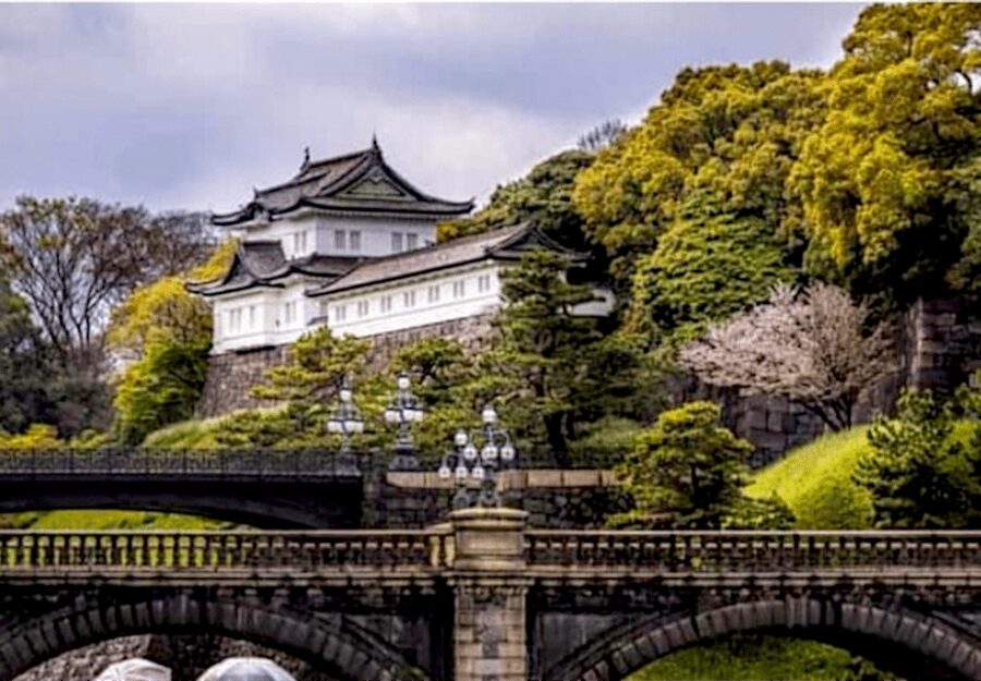Tokyo: Private Guided Tour with Hotel Pickup and Drop-off - Key highlights worth making time for