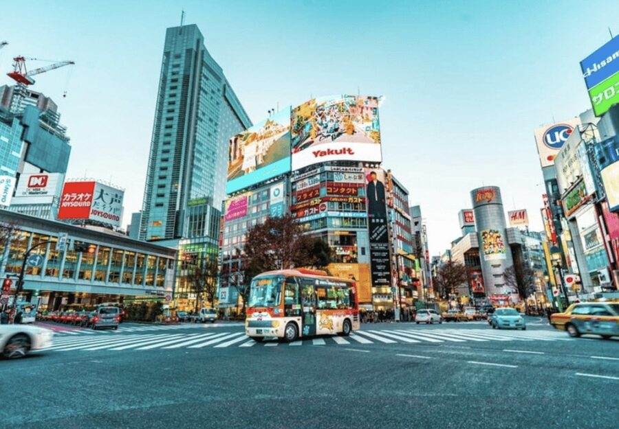 Tokyo: Private Guided Tour with Hotel Pickup and Drop-off - Private pickup and onboard WiFi: why this feels easier than DIY