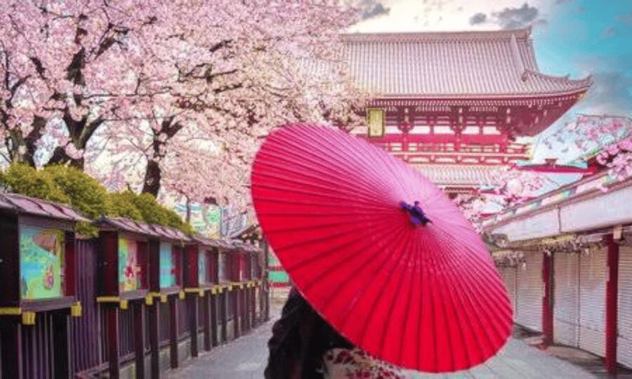 Tokyo: Private Guided Tour with Hotel Pickup and Drop-off - Tsukiji Outer Market: where your day starts with action and options