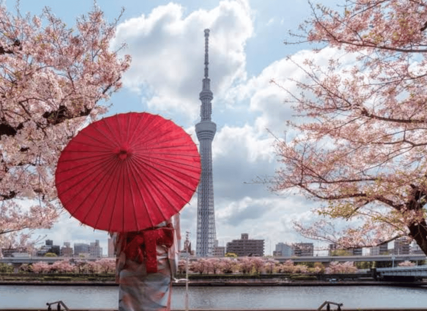 Tokyo: Private Guided Tour with Hotel Pickup and Drop-off - Sensō-ji Temple and Nakamise Street: ancient Tokyo, guided so you get more out of it