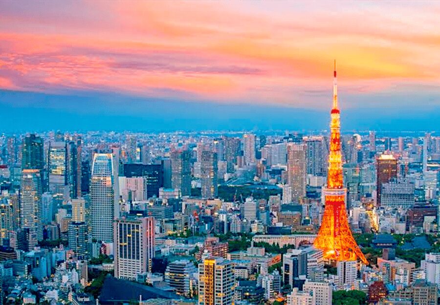 Tokyo: Private Guided Tour with Hotel Pickup and Drop-off - Tokyo Skytree: big views, photo stops, and a key rule about the guide