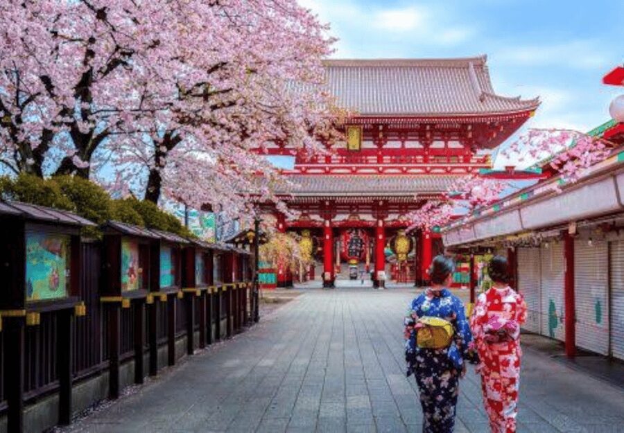 Tokyo: Private Guided Tour with Hotel Pickup and Drop-off - Meiji Shrine: a reset from city pressure