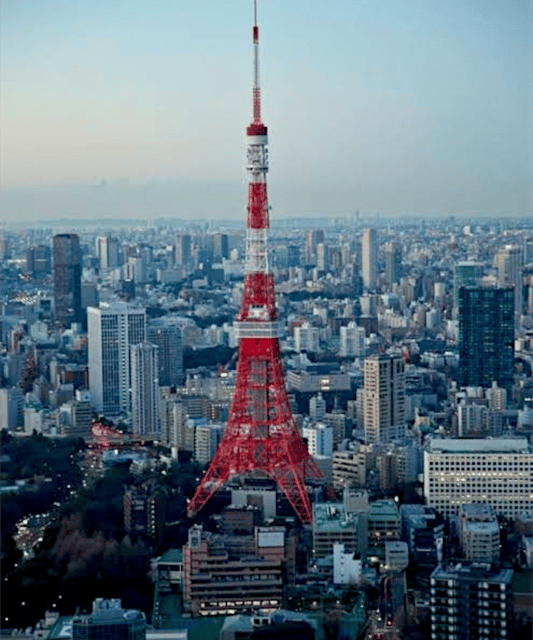 Tokyo: Private Guided Tour with Hotel Pickup and Drop-off - Shibuya, Harajuku, and Odaiba: modern Tokyo with breathing room