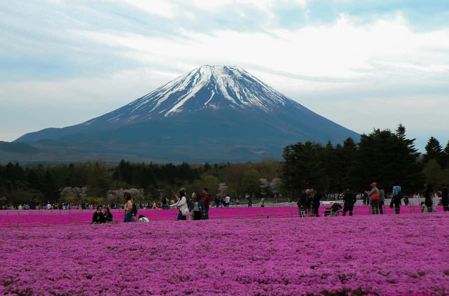 Tokyo: Private Mount Fuji Tour with Pickup and Drop-Off - Key points to know before you go