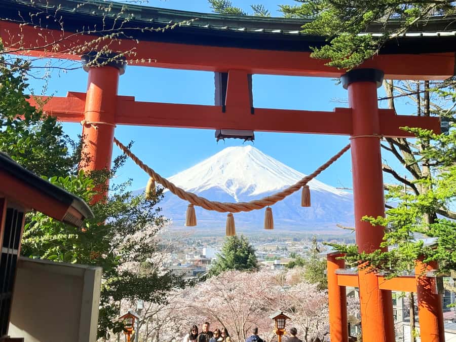 Tokyo: Private Mount Fuji Tour with Pickup and Drop-Off - A private Mount Fuji day trip from Tokyo feels different than a bus day