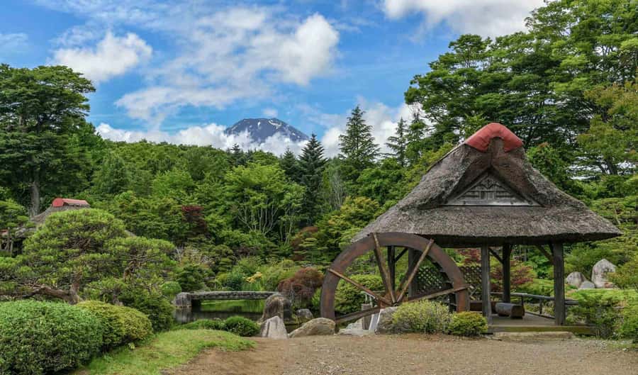 Tokyo: Private Mount Fuji Tour with Pickup and Drop-Off - Lake Kawaguchi: the calm-water Fuji mirror stop