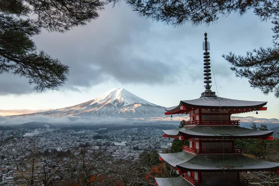 Tokyo: Private Mount Fuji Tour with Pickup and Drop-Off - Price and what you actually get for $350 per group (up to 5)