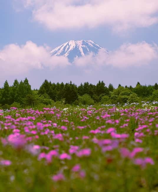 Tokyo: Private Mt. Fuji Luxury Day Tour - Fully Customizable - Key things I’d plan around before you go