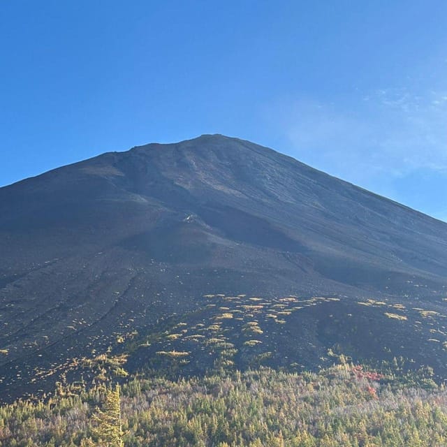 Tokyo: Private Mt. Fuji Luxury Day Tour - Fully Customizable - Price, value, and what you really get for $387 per group
