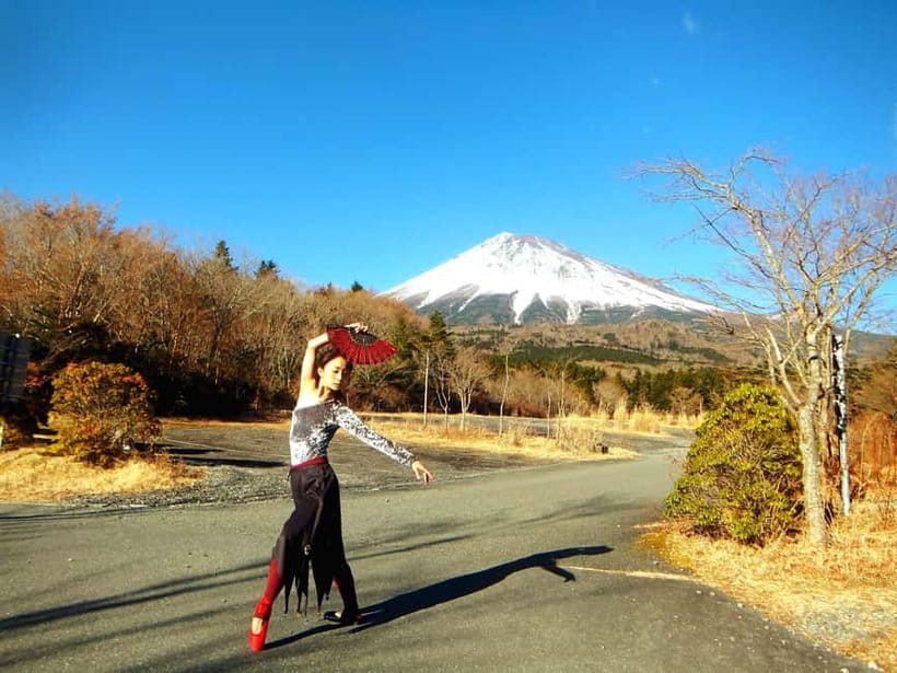 Tokyo: Private Mt. Fuji Luxury Day Tour - Fully Customizable - Lake Kawaguchi and Oishi Park: easy walking with Fuji in the frame