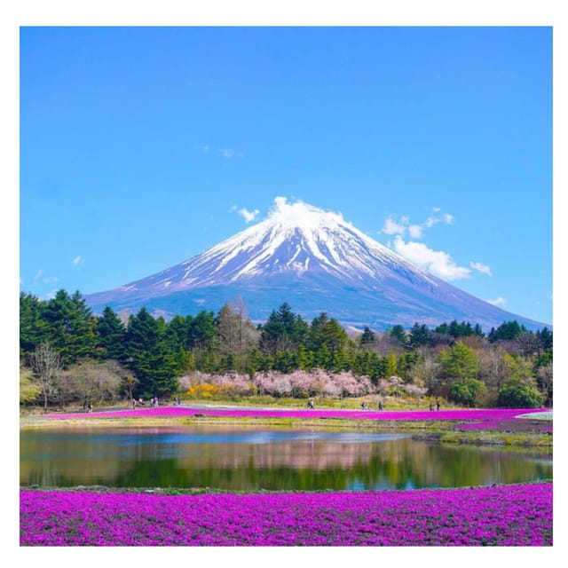 Tokyo: Private Mt. Fuji Luxury Day Tour - Fully Customizable - Mt. Fuji 5th Station: closer air, colder temps, and a ticket that costs extra