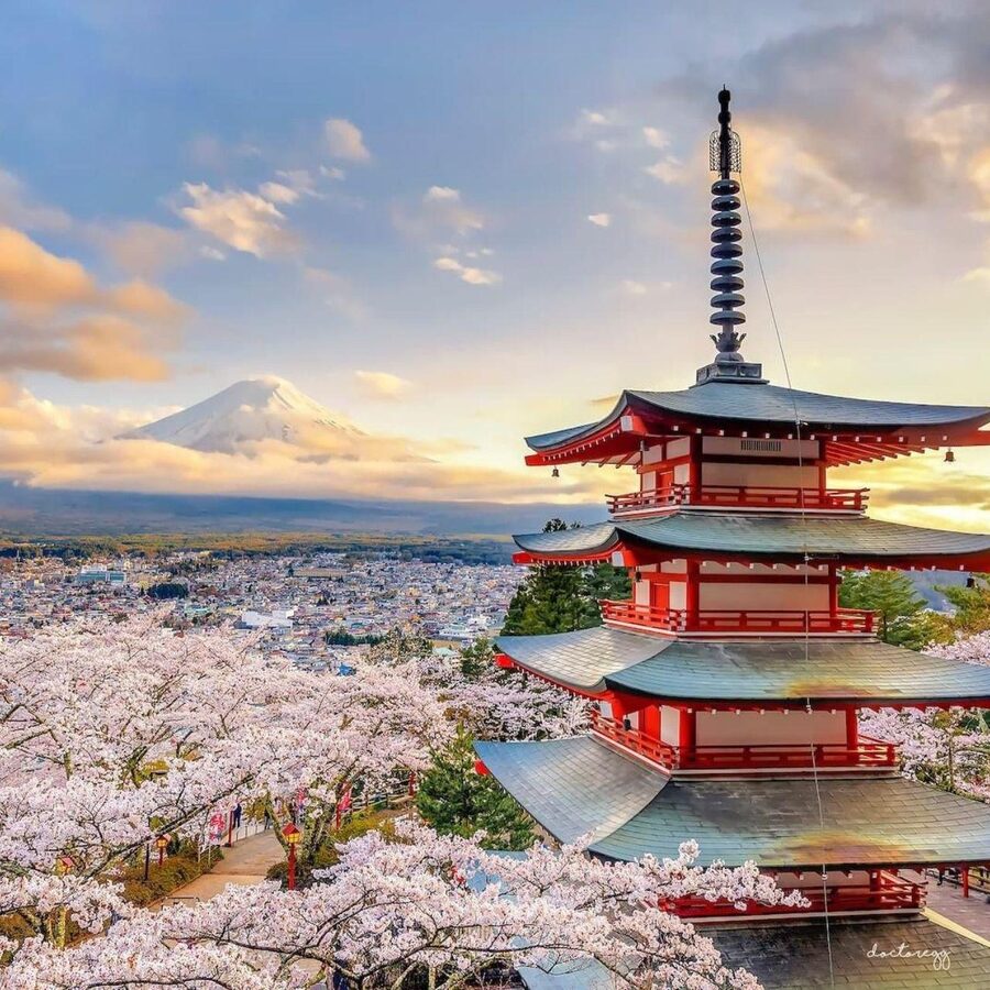 Tokyo: Private Mt. Fuji Luxury Day Tour - Fully Customizable - Optional adds that fit your mood: ice cave, healing village, and more