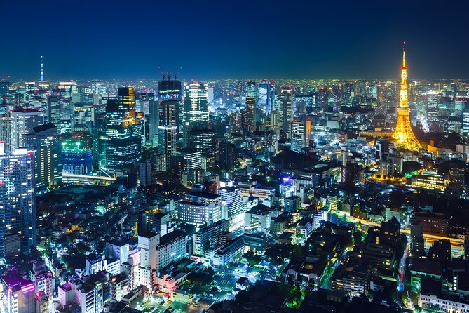 Tokyo Private Sightseeing Tour by Car and English Speaking Driver - Key points worth knowing before you go