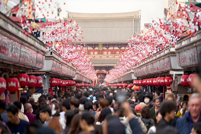 Tokyo Private Sightseeing Tour by Car and English Speaking Driver - Why a private car tour makes first-time Tokyo easier