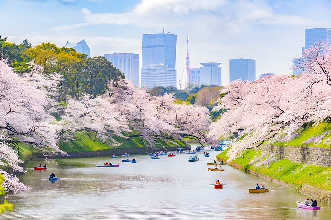 Tokyo Private Sightseeing Tour by Car and English Speaking Driver - Tokyo Skytree: how to plan your view time without derailing the day