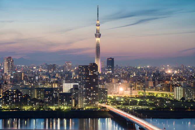 Tokyo Private Sightseeing Tour by Car and English Speaking Driver - Tsukiji Outer Market: where the lunch plan becomes the tour