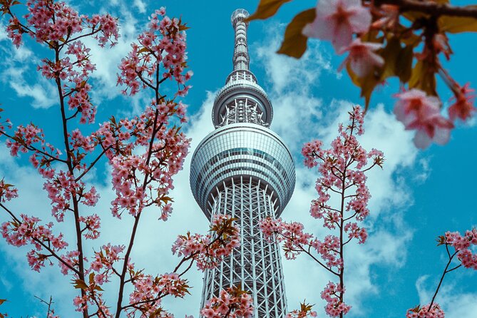 Tokyo Private Sightseeing Tour by Car- English speaking chauffeur - Tokyo Skytree: book your ticket thinking ahead