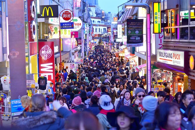 Tokyo Private Sightseeing Tour by Car- English speaking chauffeur - Ginza to Takeshita Street: shopping mood swings in the best way