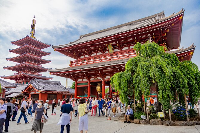Tokyo Private Sightseeing Tour by Car - English speaking driver - Tsukiji Outer Market: your easiest win for food street vibes
