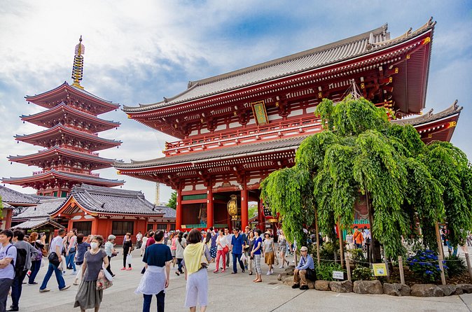 Tokyo Private Sightseeing Tour by Car - English speaking driver - Senso-ji Temple: the crowd you’ll actually enjoy