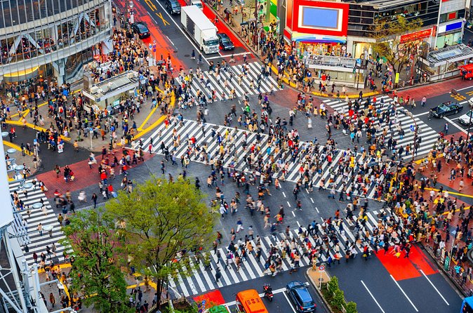 Tokyo Private Sightseeing Tour by Car - English speaking driver - Harajuku Takeshita Street: fast fashion energy in manageable time