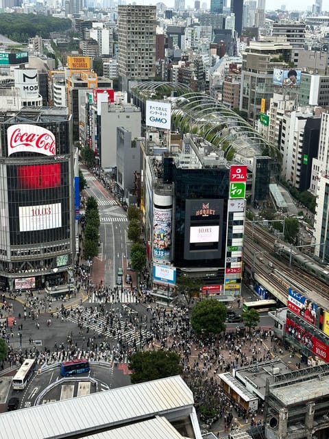 Tokyo: Private Tailored Tour with a Local Guide - Nakano Broadway: a planned browsing stop