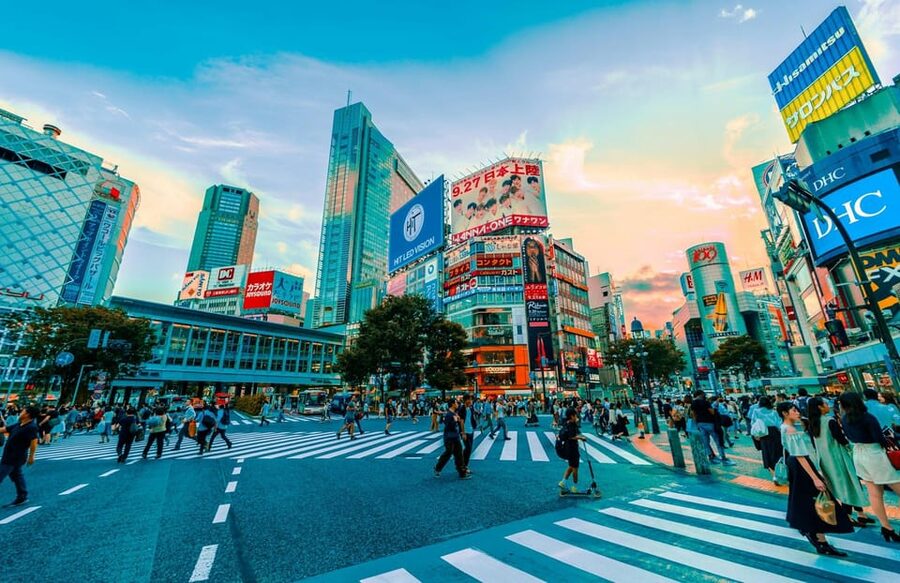Tokyo: Private Tailored Tour with a Local Guide - Shinjuku viewpoints and Omoide Yokocho Showa atmosphere