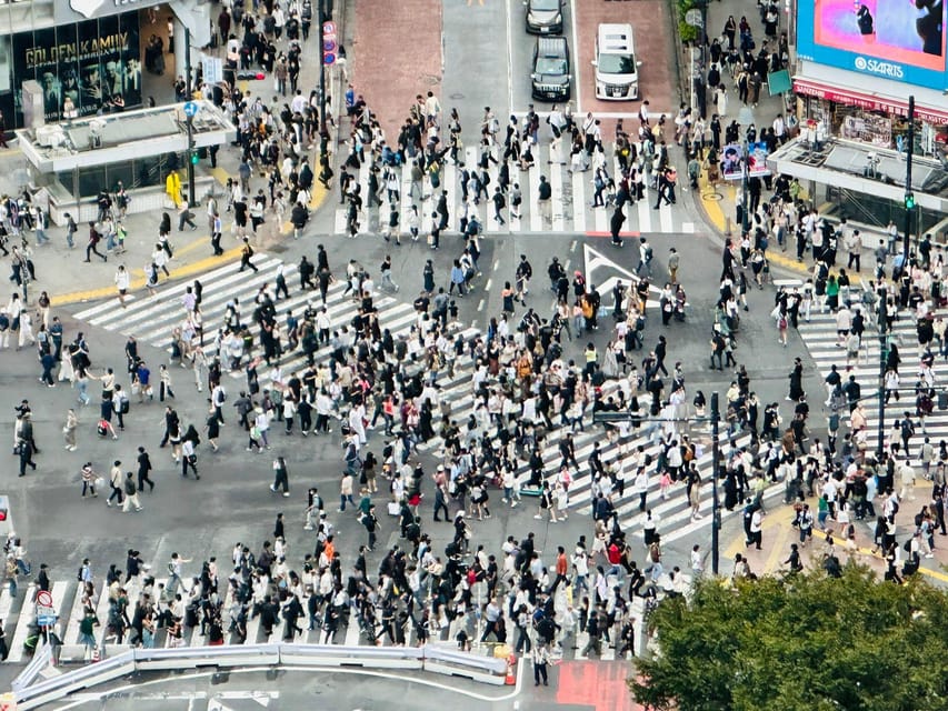 Tokyo: Private Tailored Tour with a Local Guide - Who this tour fits best