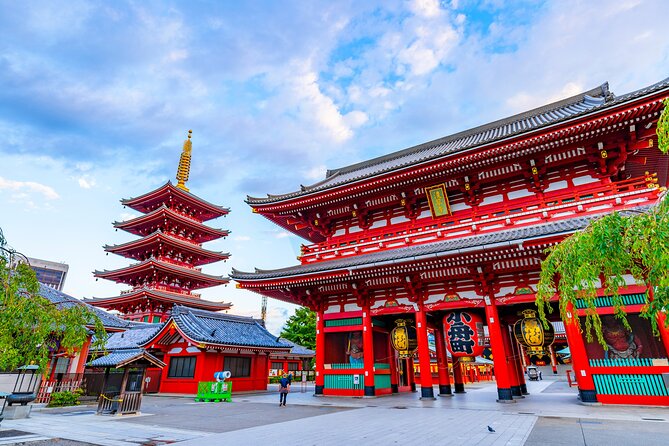 Tokyo Private Tour - Akihabara, Senso-ji, and the art of switching Tokyo moods