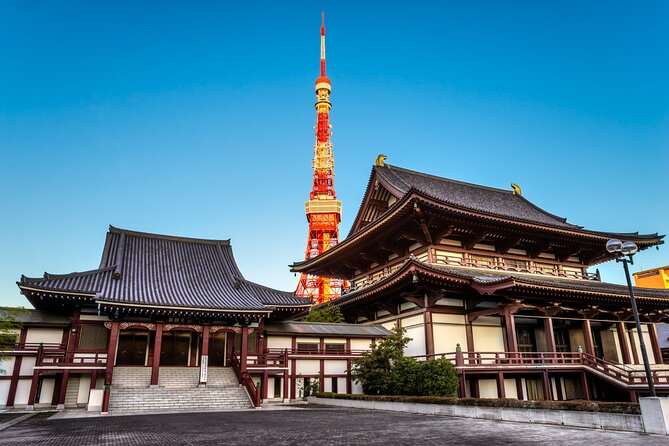 Tokyo Private Tour - Who should book this, and who might want a different approach