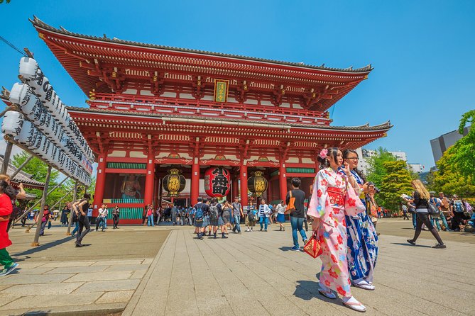 Tokyo Private Tour by Vehicle with English-Speaking Chauffeur - How the private chauffeur format changes your whole Tokyo day