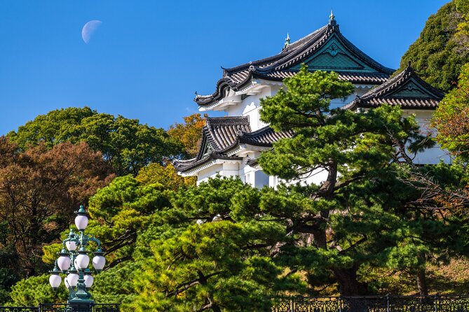 Tokyo Private Tour! Edo Castle & Imperial Palace East Gardens - Key things to know before you go