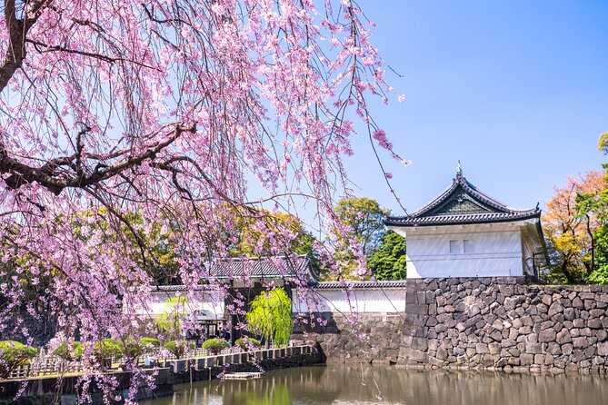 Tokyo Private Tour! Edo Castle & Imperial Palace East Gardens - Price and value: is $65.41 per person worth it?