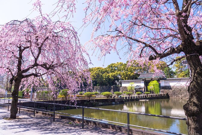 Tokyo Private Tour! Edo Castle & Imperial Palace East Gardens - Meet at Wadakura Fountain National Park, then let the guide handle the route