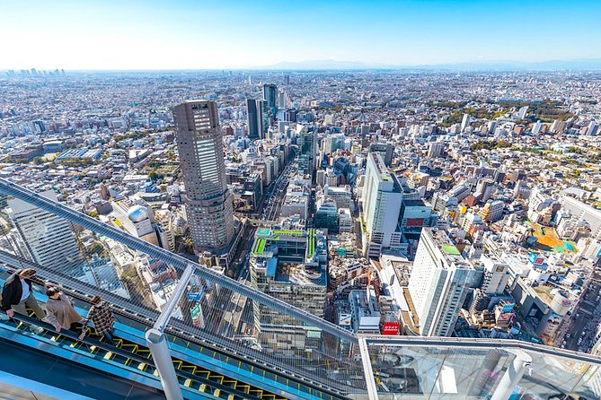 Tokyo Private Tour: One Day Highlights and Optional Shibuya Sky - Key highlights I’d plan around
