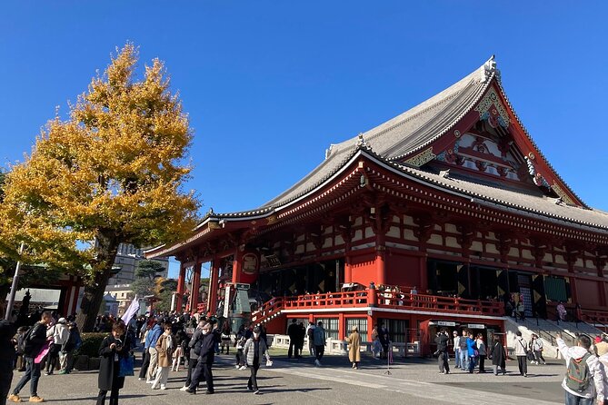 Tokyo Private Tour: One Day Highlights and Optional Shibuya Sky - Takeshita Street: finish with people-watching and easy shopping