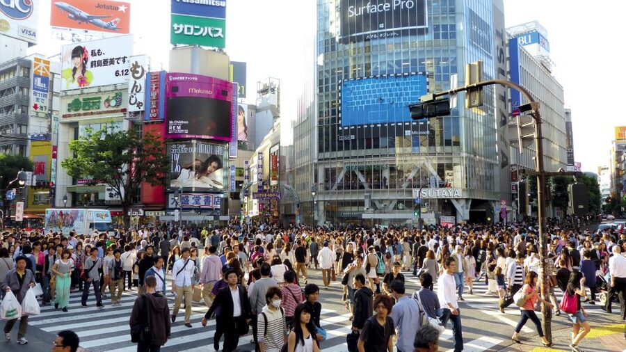 Tokyo: Private Walking Tour with a Local - Subway and Rail Coaching That Actually Reduces Stress