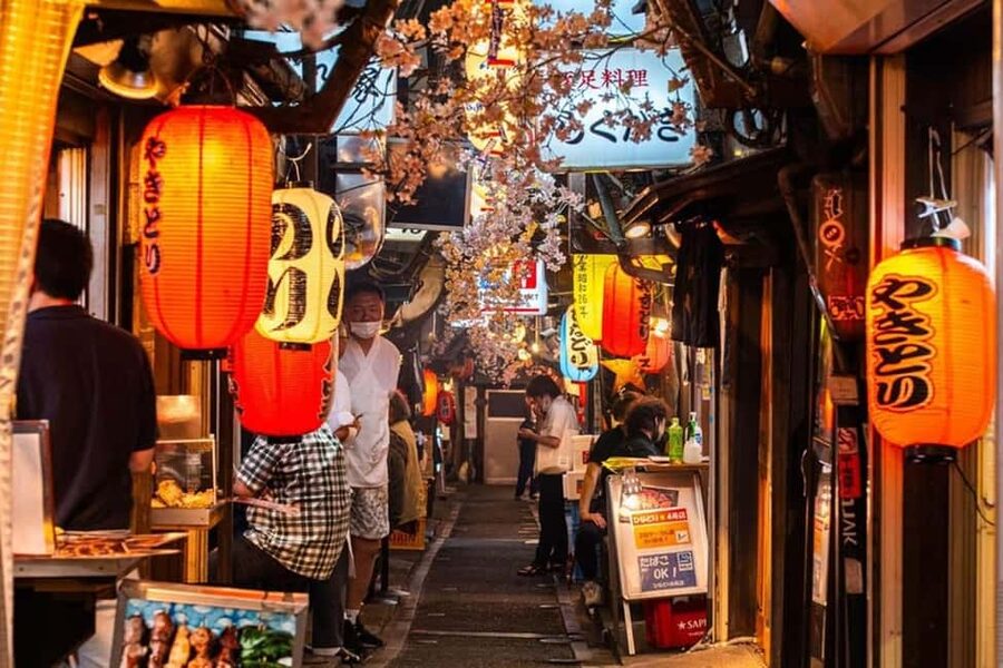 Tokyo: Private Walking Tour with a Local Guide - Key things to love about this Tokyo Vibes private walk