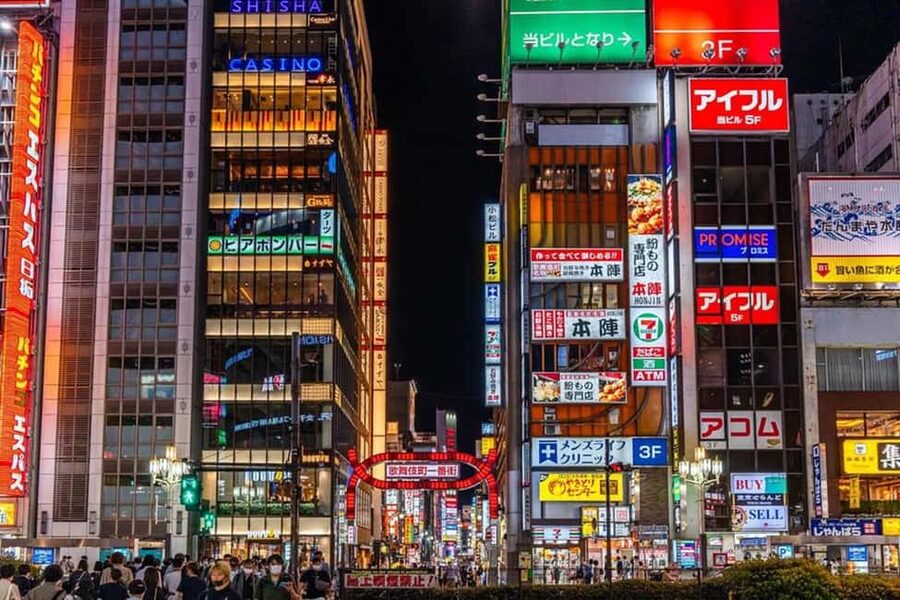 Tokyo: Private Walking Tour with a Local Guide - Tokyo Imperial Palace area and Shinjuku: where Tokyo’s layers show