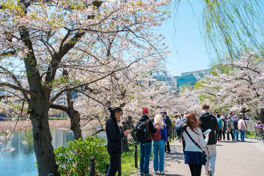 Tokyo: Private Walking Tour with a Local Guide - Ueno and Ameya-Yokocho: museums nearby, street life in between