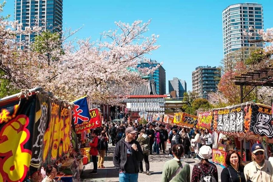 Tokyo: Private Walking Tour with a Local Guide - Tsukiji Outer Market and Ginza: food energy plus upscale contrast