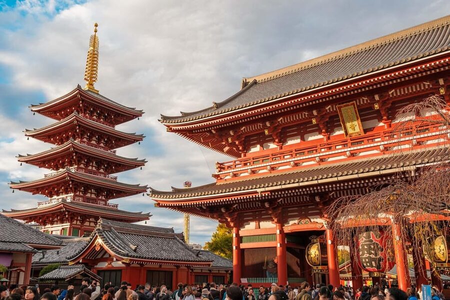 Tokyo: Private Walking Tour with a Local Guide - Custom routing in a city that never stops