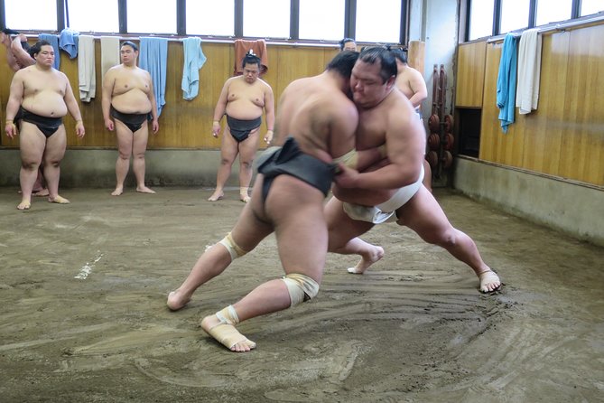 Tokyo Ryogoku Sumo Morning Practice + Photo Shoot with Wrestlers - Key highlights that make this tour worth your morning