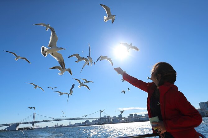 Tokyo: Scenic Bay Cruise with Local Guide on Private Boat - Why Tokyo Bay looks better from a small boat