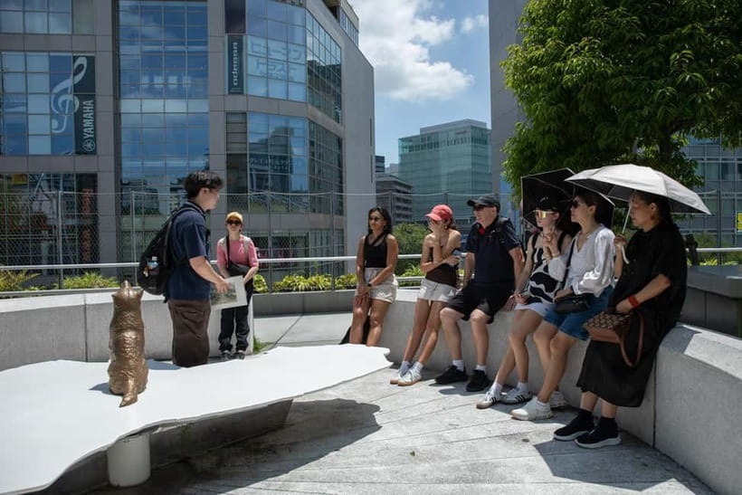 Tokyo: Shibuya Crossing & Hidden Streets Walking Tour - Who This Tour Suits Best