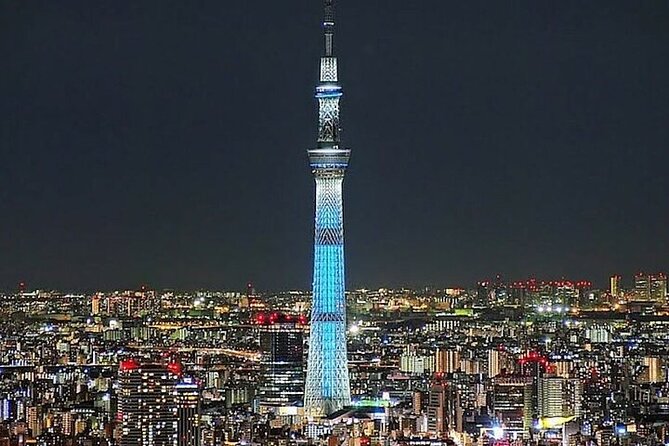 Tokyo Sightseeing/ City Tour by Private Car with English Guide - Key highlights you’ll actually care about
