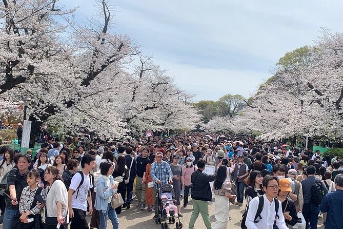 Tokyo Sightseeing/ City Tour by Private Car with English Guide - Meiji Jingu and the Imperial Palace: a calmer Tokyo break