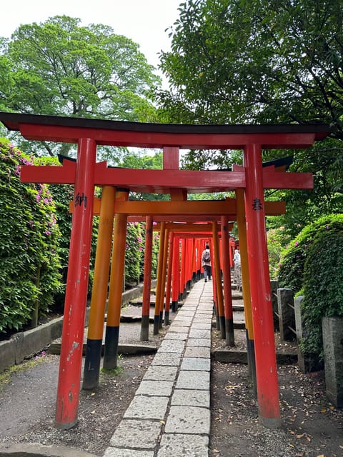 Tokyo:Stroll in Old traditional culture towns~Yanaka & Nezu - Seasonal treats: sakura mochi in spring and a shaded cafe plan in summer