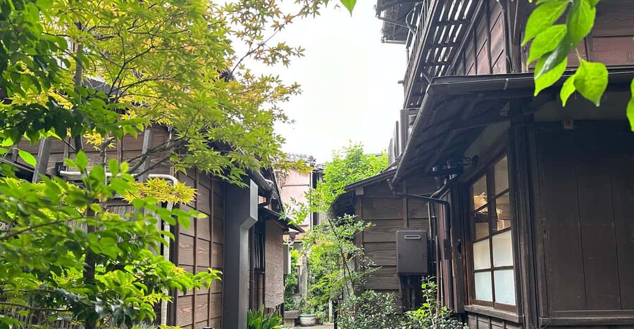 Tokyo:Stroll in Old traditional culture towns~Yanaka & Nezu - Starting at Nippori Station West Exit, then settling into local rhythm